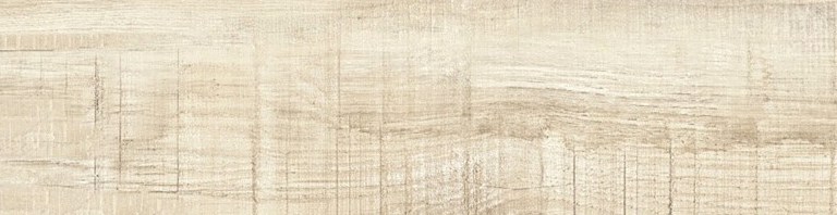 製品情報 商品紹介